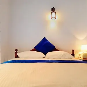 https://the-tourist-balcony.negombohotels.net